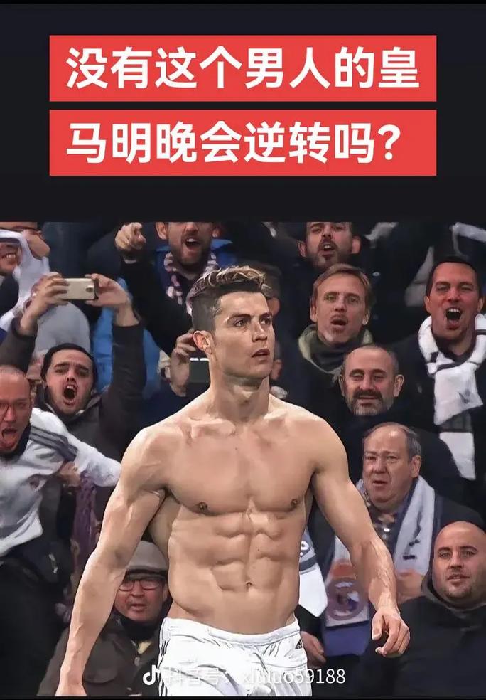 相似形态得